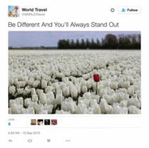 Be different and youll always stand out