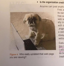 Be wary of what you read on the internet