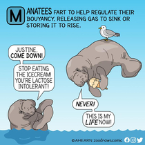 Be your own Manatee 