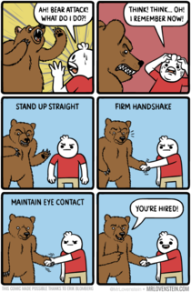 Bear attack