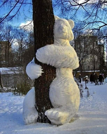 Bear hugs are the best hugs for tree hugging