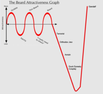 Beard Attractiveness Graph