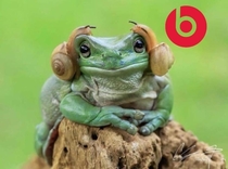 Beats by Frog