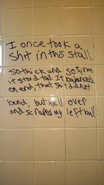 Beautiful bathroom poetry
