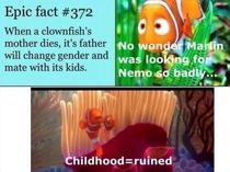 Beautiful movie now ruined for me Thanks UN fun facts