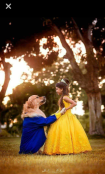 Beauty and the Beast