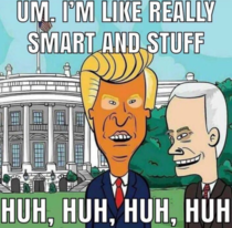 Beavis and Butthead is running this state