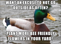 Because bees