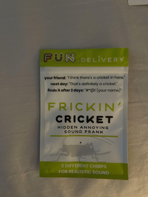 Been looking for a cricket for two dayswife just showed me this