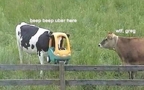 Beep Beep