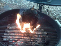 Beer can chicken failed This was an attempt to cook dinner for my boyfriend now husband I learned what indirect heat meant And we ordered pizza