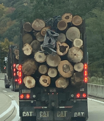 Behind this guy and you realize youre about to be killed by a log that has a turkey inside it