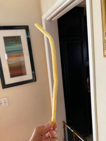 Behold Large Fry