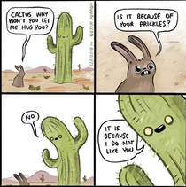 Being a Cactus has its pros and cons
