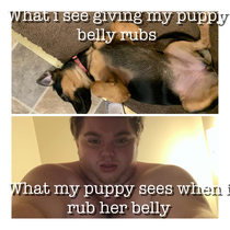 Belly rubs