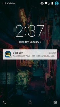 Best Buys Big Bottom