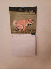 Best Calendar Ever