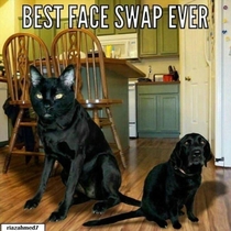 Best Face Swap Ever