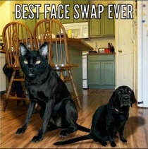 Best face swap ever
