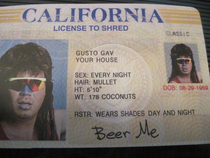 Best fake ID ever