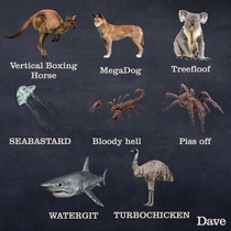 Better Names of Animals in Australia