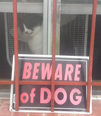 Beware of Dog