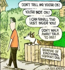 Beware of the emotionally support dog