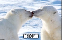 BI-POLAR