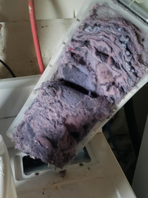 Biannual cleaning of the dryer vent Indiana University