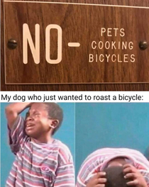 Bicycles arent that tasty anyways