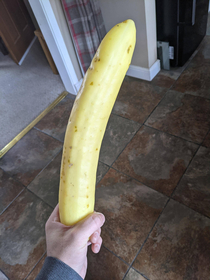 big banana energy