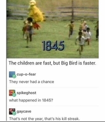 Big birb