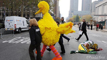 Big Bird being arrested after beating up Aaron Rodgers for his antivaxx nonsense