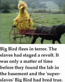 Big bird going fast