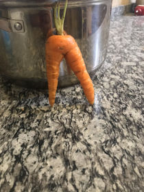 Big botty carrot