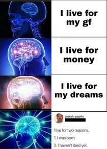 Big brain time