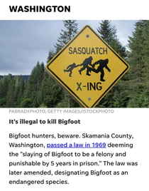 Bigfoot fells safest in Washington