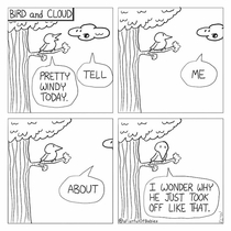 Bird and Cloud 