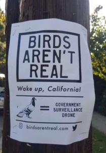 Birds Arent Real