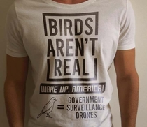 Birds arent real