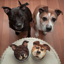 Birthday cupcakes