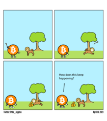 Bitcoin and Dogecoin