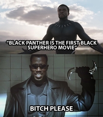 Black Panther vs Blade