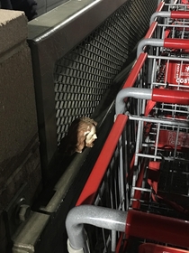 Blessed is he who returns the cart