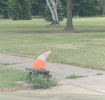 Blue collar Sorting Hat