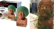 bob ross chia pet