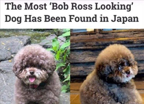 Bob Ross has been reincarnated