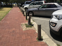 Bollard grown on site