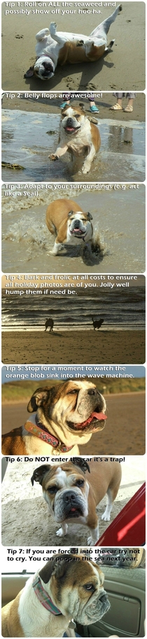 Bonnies  tips for beach trips