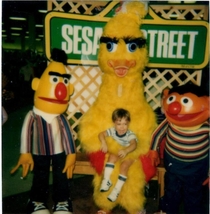 Bootleg Big Bird and Gang Sign Bert